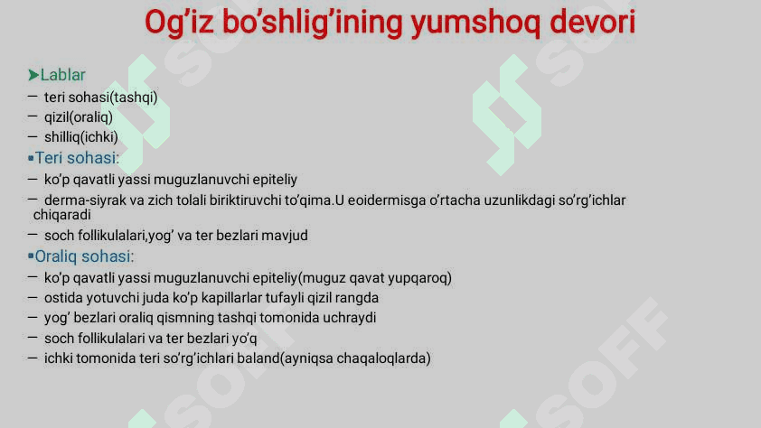 Hazm sistemasi gistalogiyasi 6