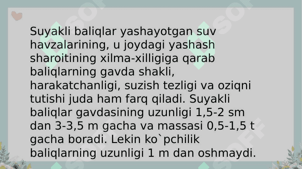 Suyakli baliqlar sistematikasi 4
