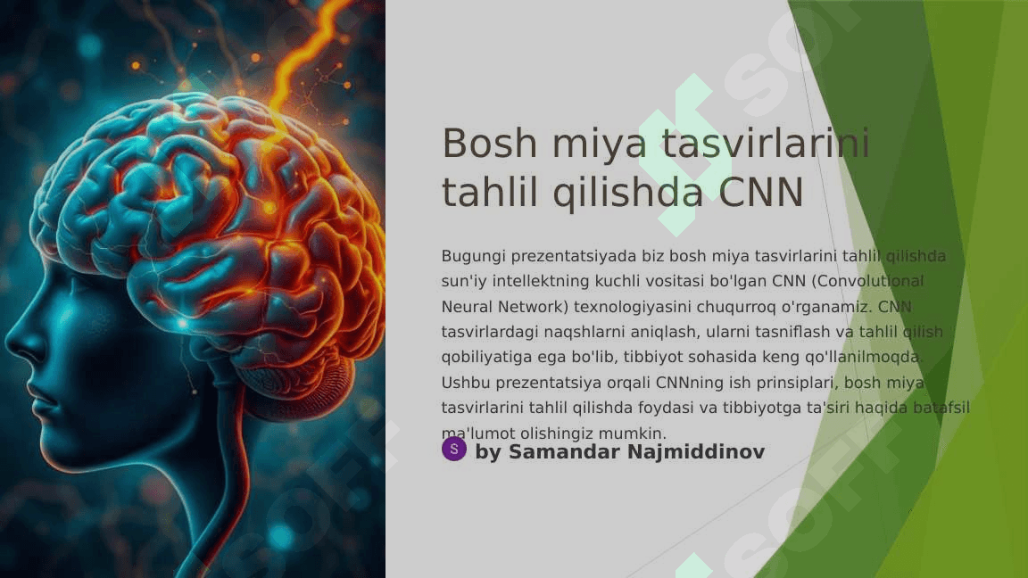 BOSH MIYA TASVIRLARINI TAHLIL QILISHDA CNN. 2