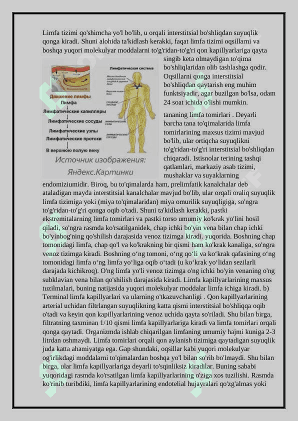 Linfa tizimi fizialogiyasi 2