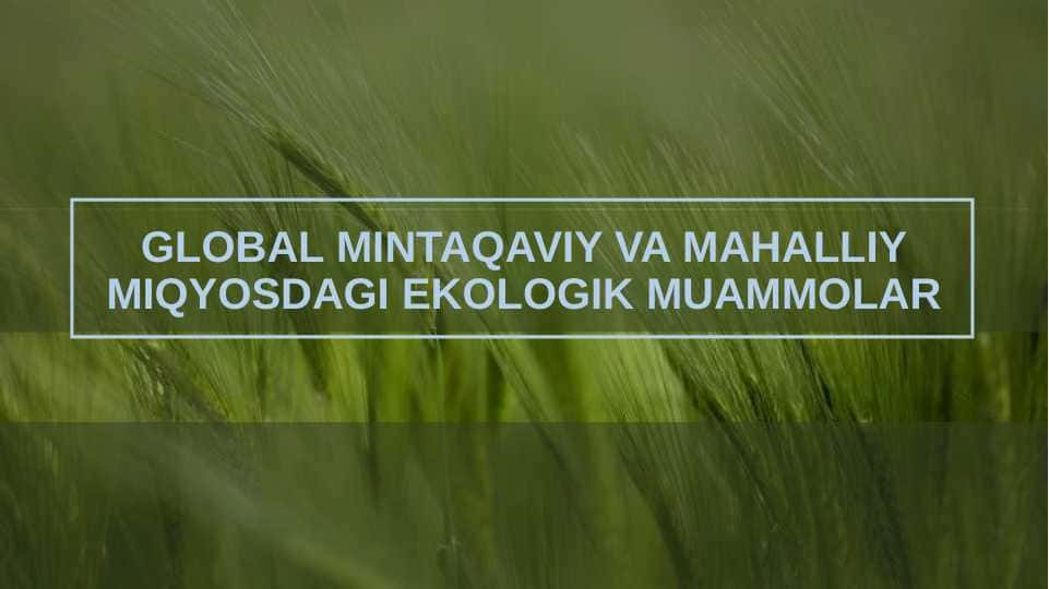 Global mintaqaviy va mahaliy  miqyosidagi ekologik muomalar