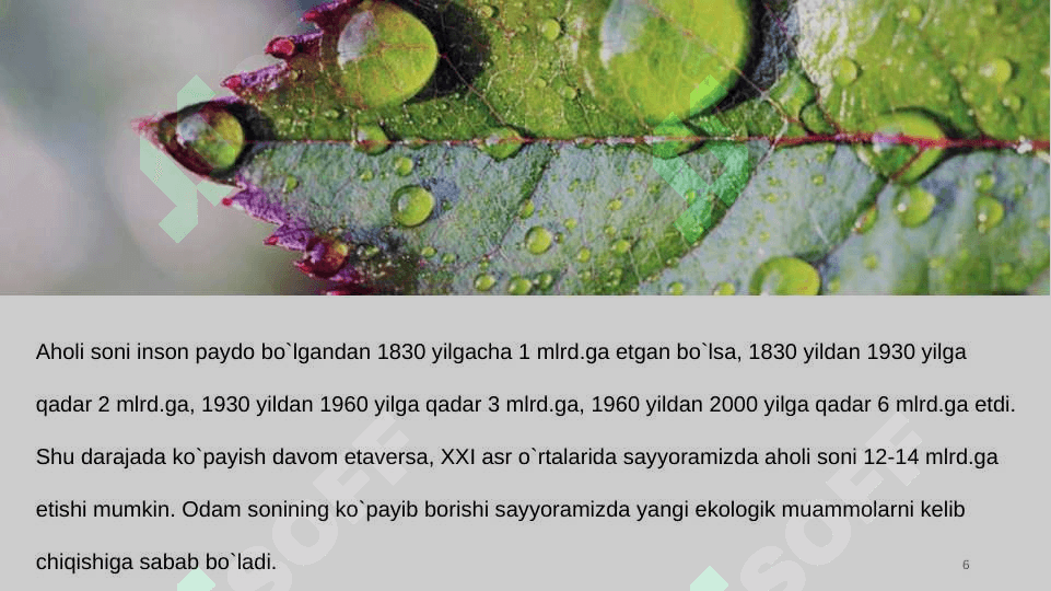 Global mintaqaviy va mahaliy  miqyosidagi ekologik muomalar 6
