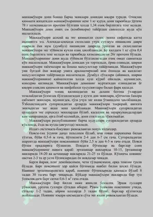 Su li va makkajo'xori 4
