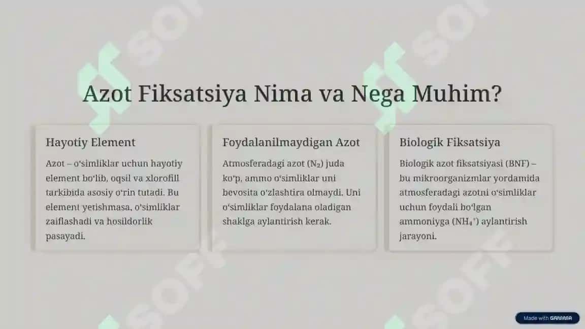 Azot Fiksatsiya Qiluvchi Bakteriyalar va Ularning Qishloq Xo‘jaligidagi Roli 2