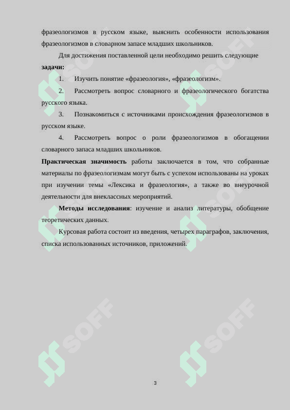 Проблема русских фразеологических единиц в обучении 3