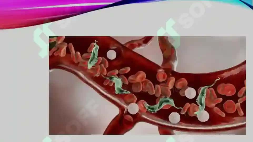 Qon zardobidan Immunoglobulinlarni ajratish. 4