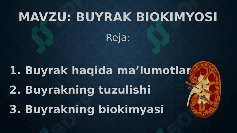 Buyrak biokimyosi 2