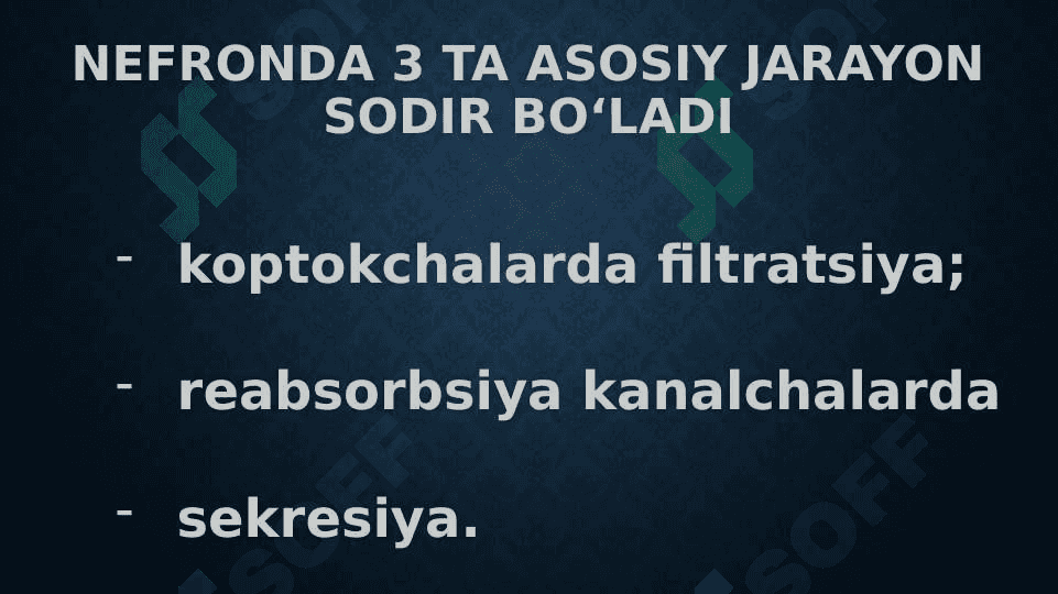 Buyrak biokimyosi 6