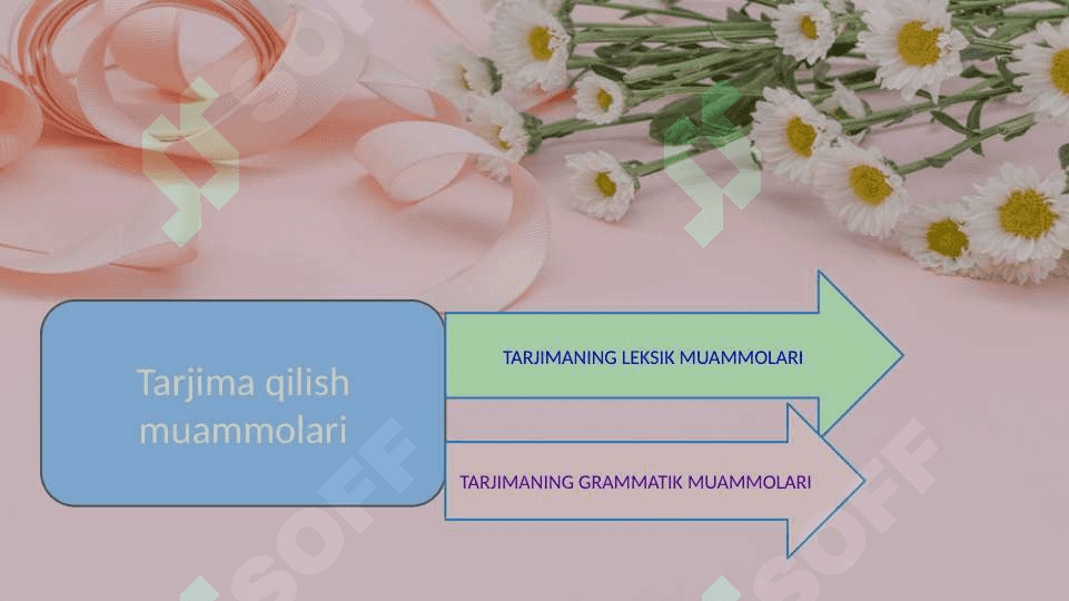 Tarjima qilish muammosi, uning mohiyati va zamonaviy holati 2