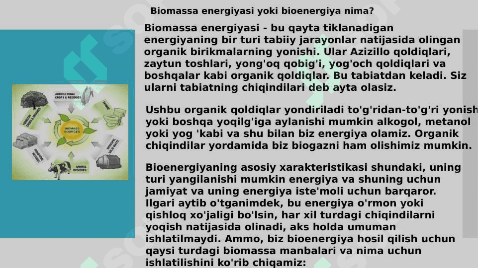 Biomassa haqida tushuncha 4