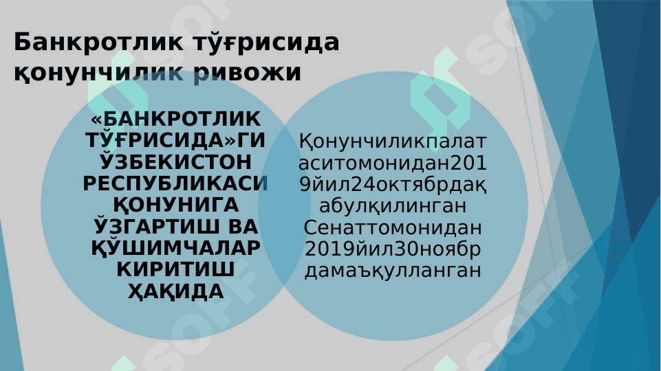 Бизнес субъектларининг банкротлиги Ёхуд туловга қобилятизлик 6