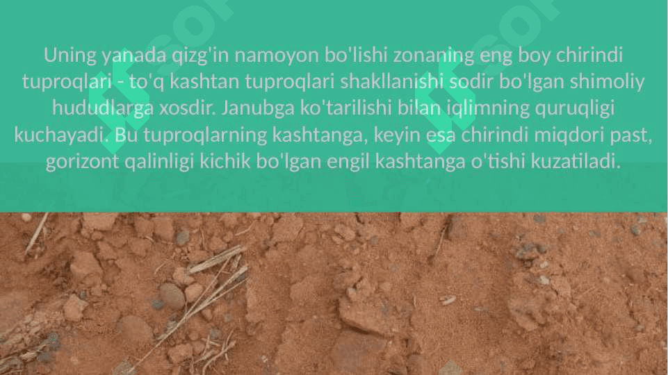 Kashtan tuproqlar 4
