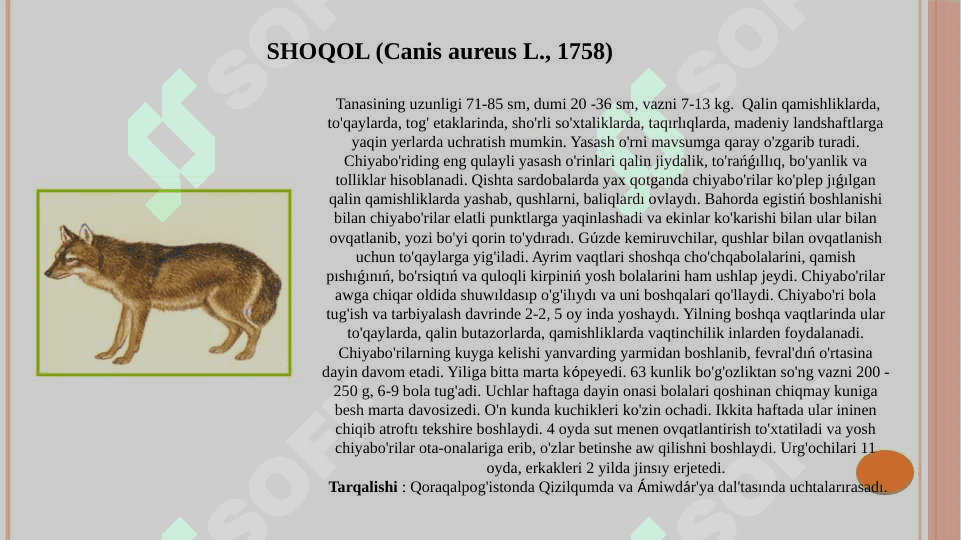 QORAQALPOG’ISTON HUDUDIDA UCHRAYDIGAN SUTEMIZUVCHILAR 4