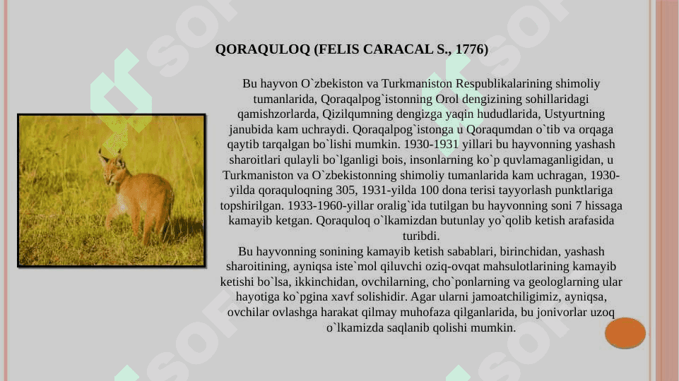 QORAQALPOG’ISTON HUDUDIDA UCHRAYDIGAN SUTEMIZUVCHILAR 7