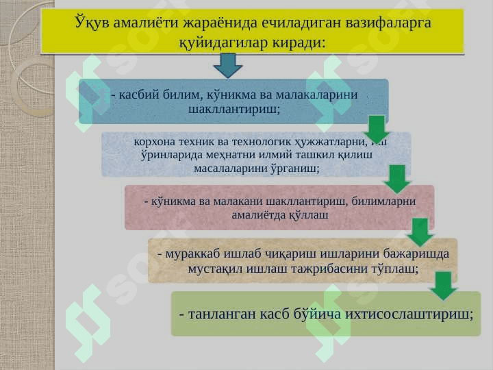 Махсус фанлардан ўқув амалиётини ҳамда мустақил ишларни ташкил этиш ва ўтказиш методикаси 5