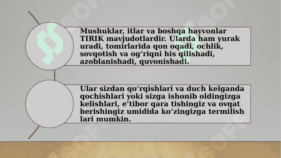 Jonivorlarga g‘amxo‘rlik qilish 3