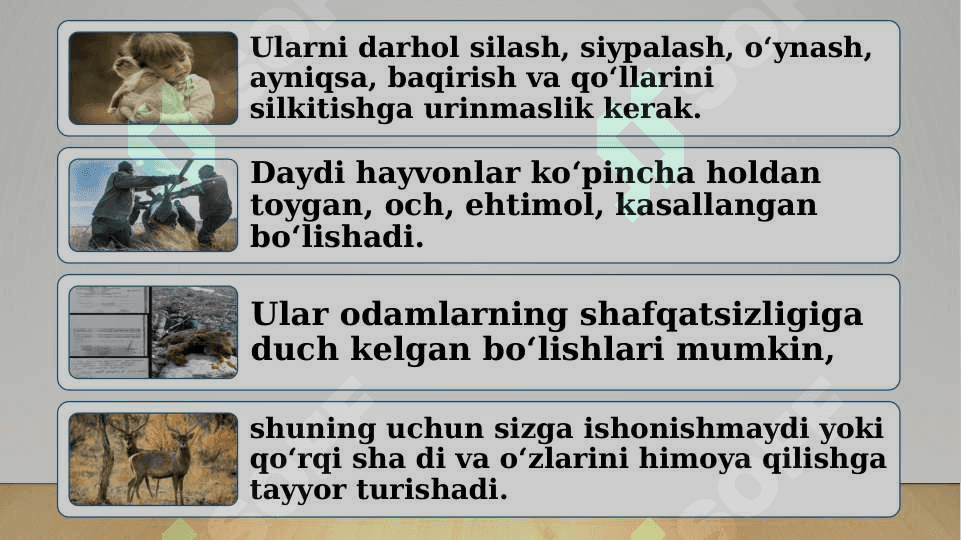 Jonivorlarga g‘amxo‘rlik qilish 4
