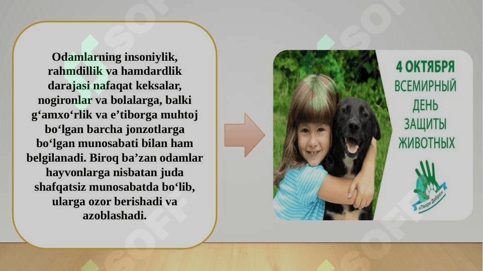 Jonivorlarga g‘amxo‘rlik qilish 5