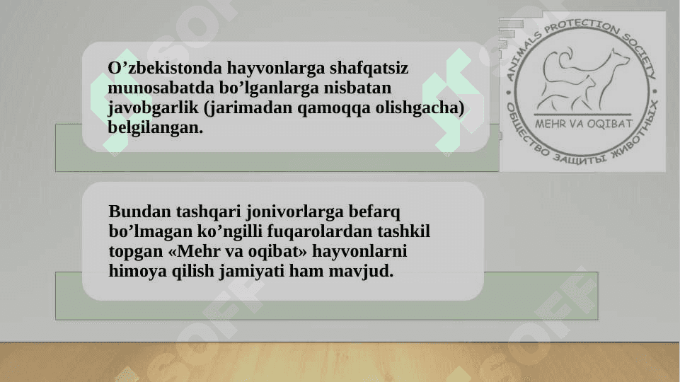 Jonivorlarga g‘amxo‘rlik qilish 7