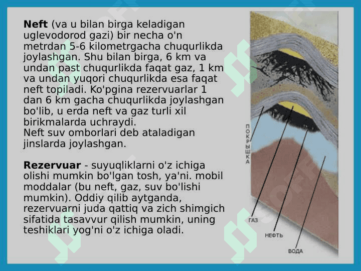 Neft nima 7