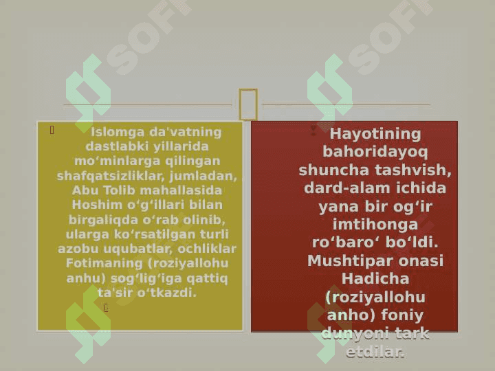 “ Payg'ambarimizning qizlari“ 8