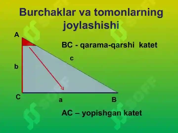 Burchaklar va tomonlarning munosabatlari 6