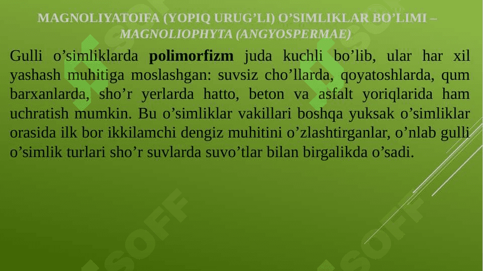 Botanika 6