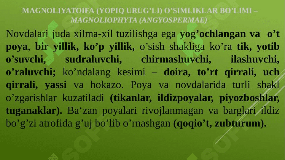 Botanika 8