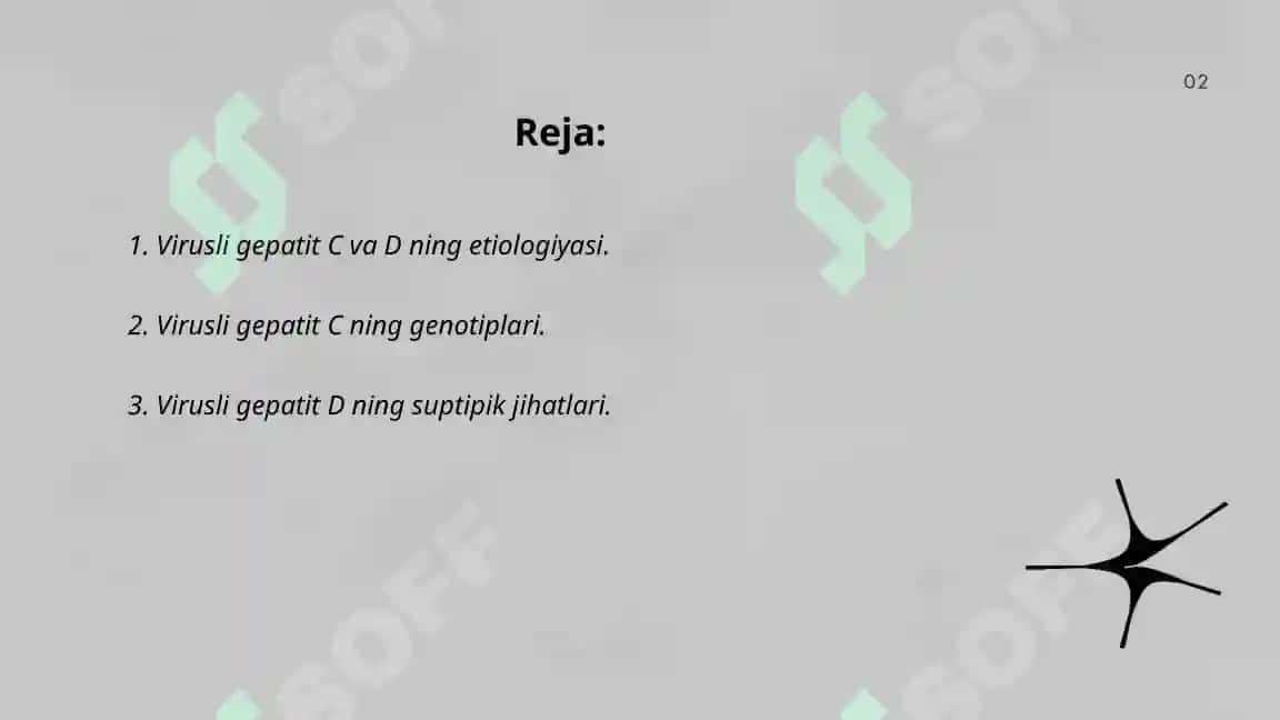 Virusli gepatit C va D 2