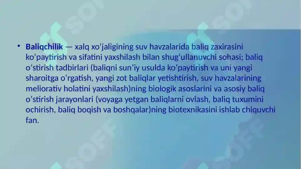 Baliqchilik 2