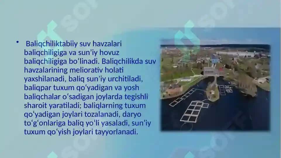 Baliqchilik 3