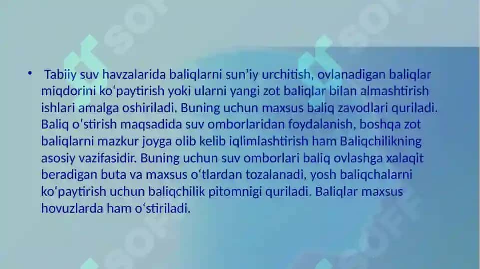 Baliqchilik 4