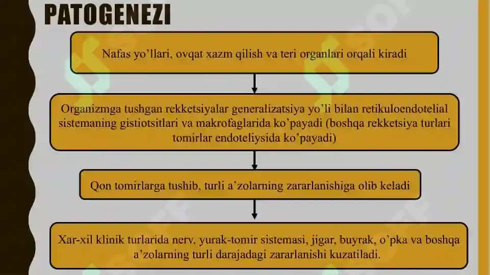 Rikkietsiya (Qo‘zg‘atuvchi rikketsiyalardan tashkil topgan kasalliklar) 6
