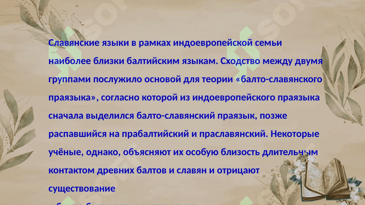 Славянские языки в современном мире 8