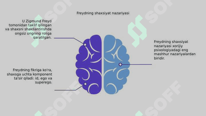 Chet el psixologiyasida shaxs nazariyalari 5