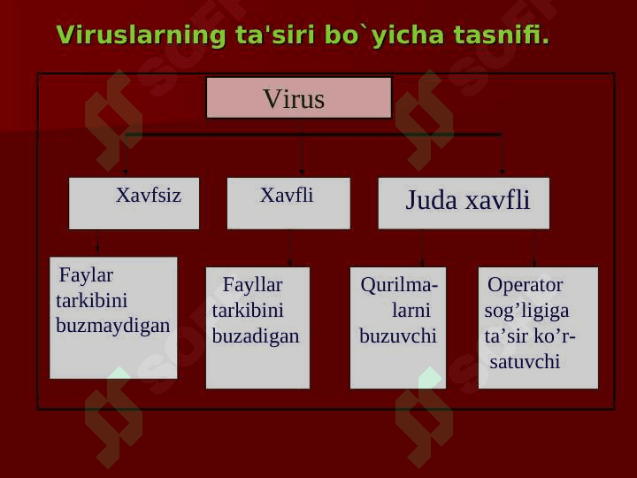 Virus va antiviruslar tasnifi 3