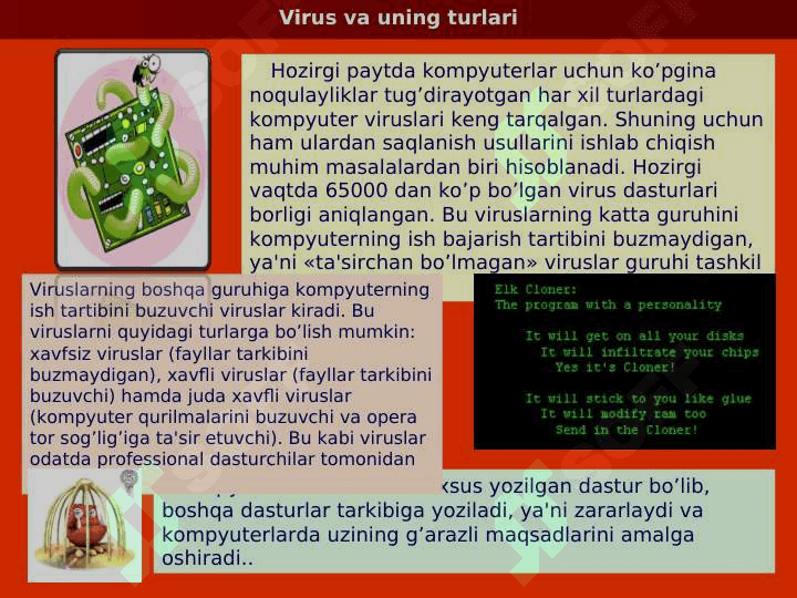 Virus va antiviruslar tasnifi 4