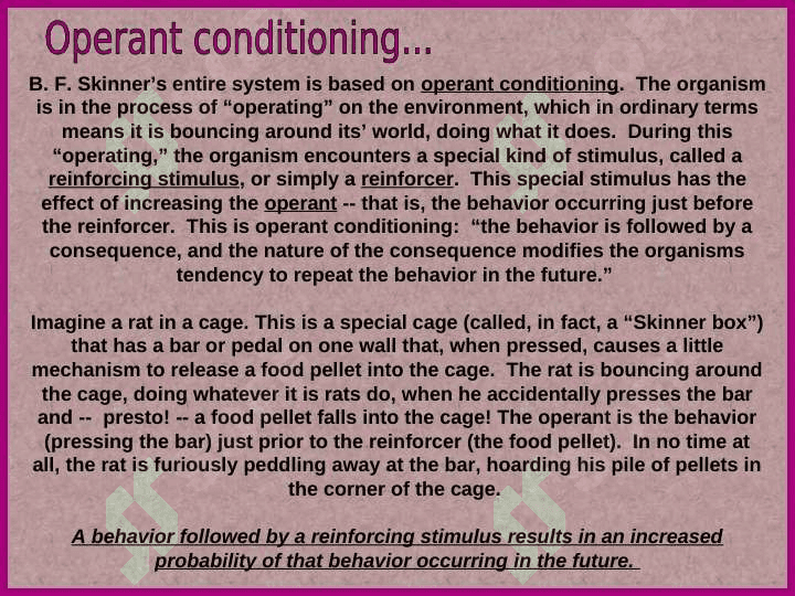 DISCIPLINE 7