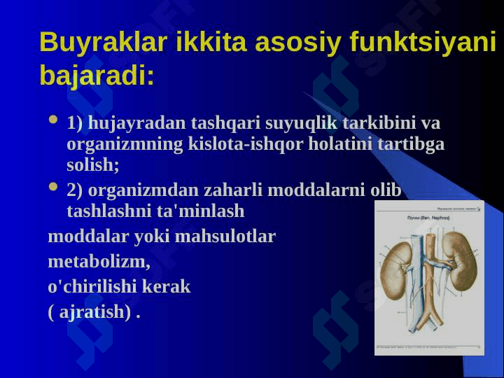 Ayirish sitemasining fiziologiyasi va yoshga bog‘liq xususiyatlari. 3