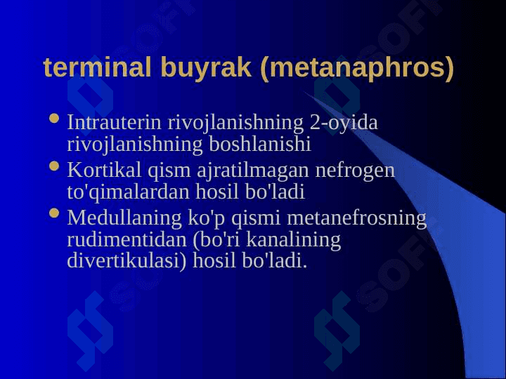 Ayirish sitemasining fiziologiyasi va yoshga bog‘liq xususiyatlari. 7