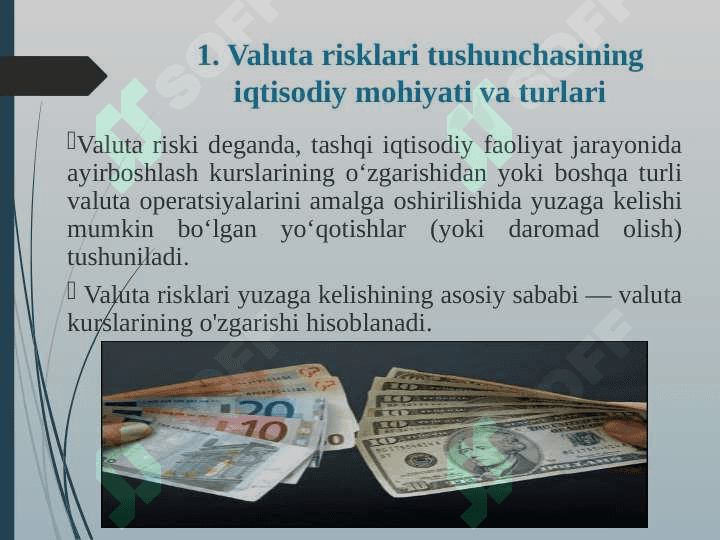 VALUTA RISKI 2