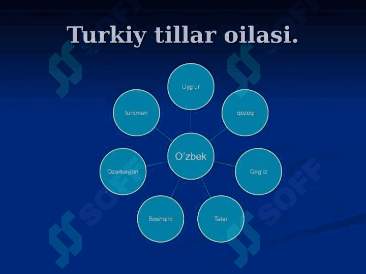 Dunyo okeanlarining ifloslanish sabablari va uning  oqibatlari 5