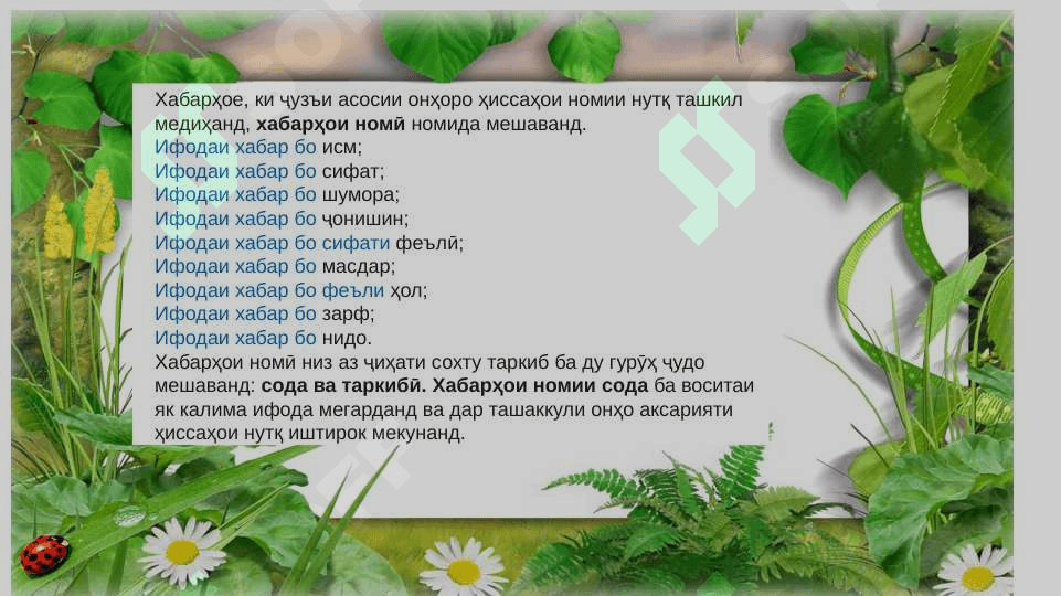 Хабар 4