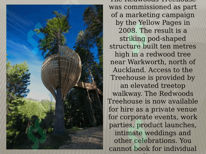 The Redwoods Treehouse Restaurant 3
