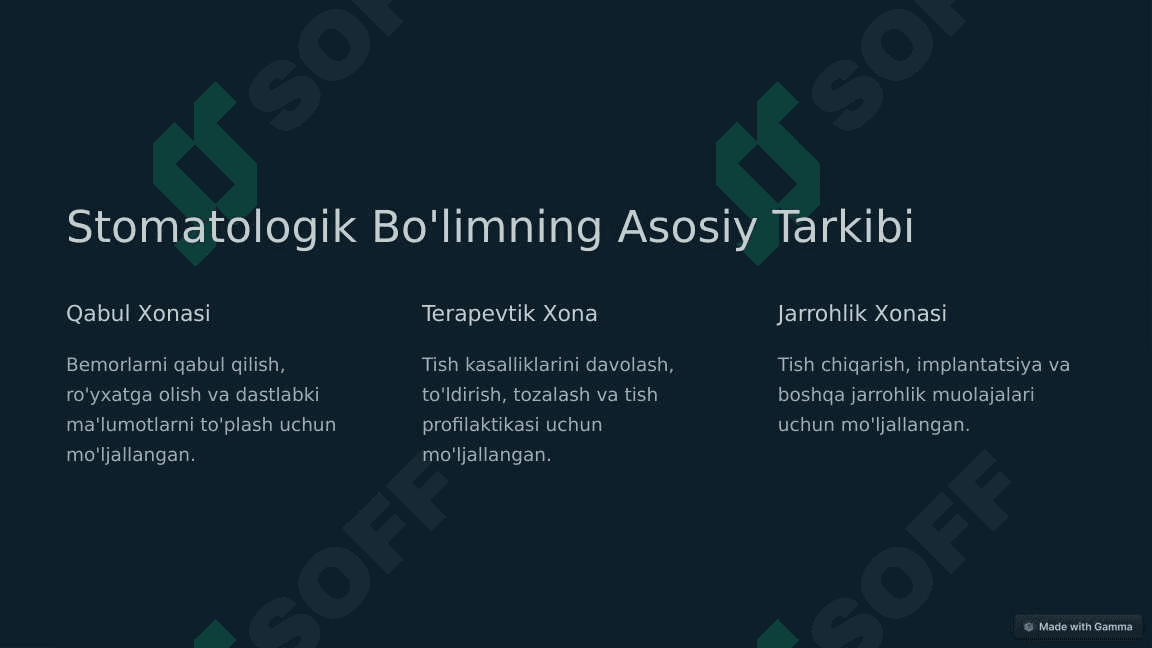 Stomatologik Bo'lim Umumiy Ko'rinish 2