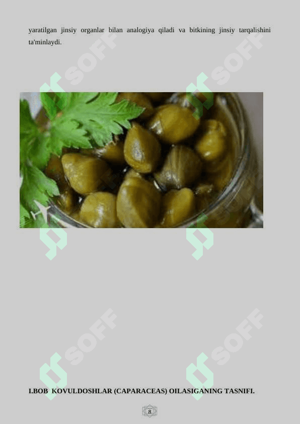 Kovuldoshlar(Capparaceac) 3