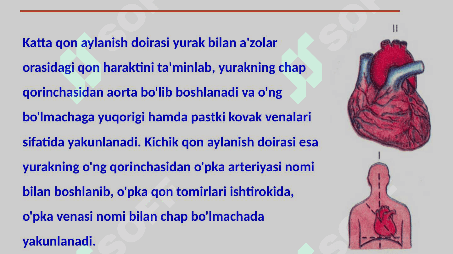 Qon-tomirlarining tuzilishi. Tomirlarning sinflanishi 7