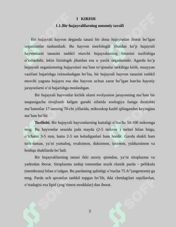 Umurtqasiz hayvonlar dunyosining filogenetik bog’lanishi 3