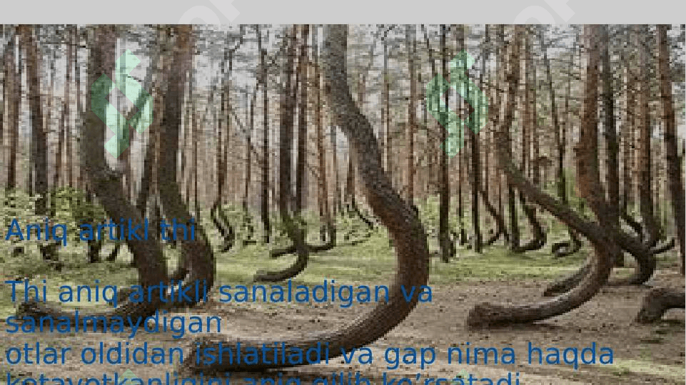 Noaniq artikllar 3