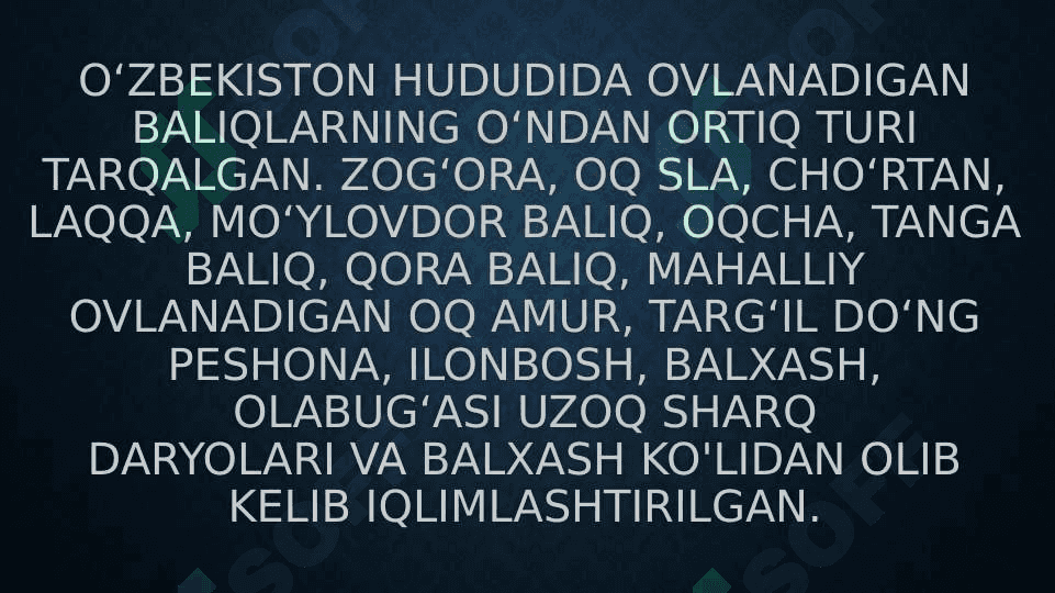 O’zbekiston suv havzalarida tarqalgan olabaliq turlari 8